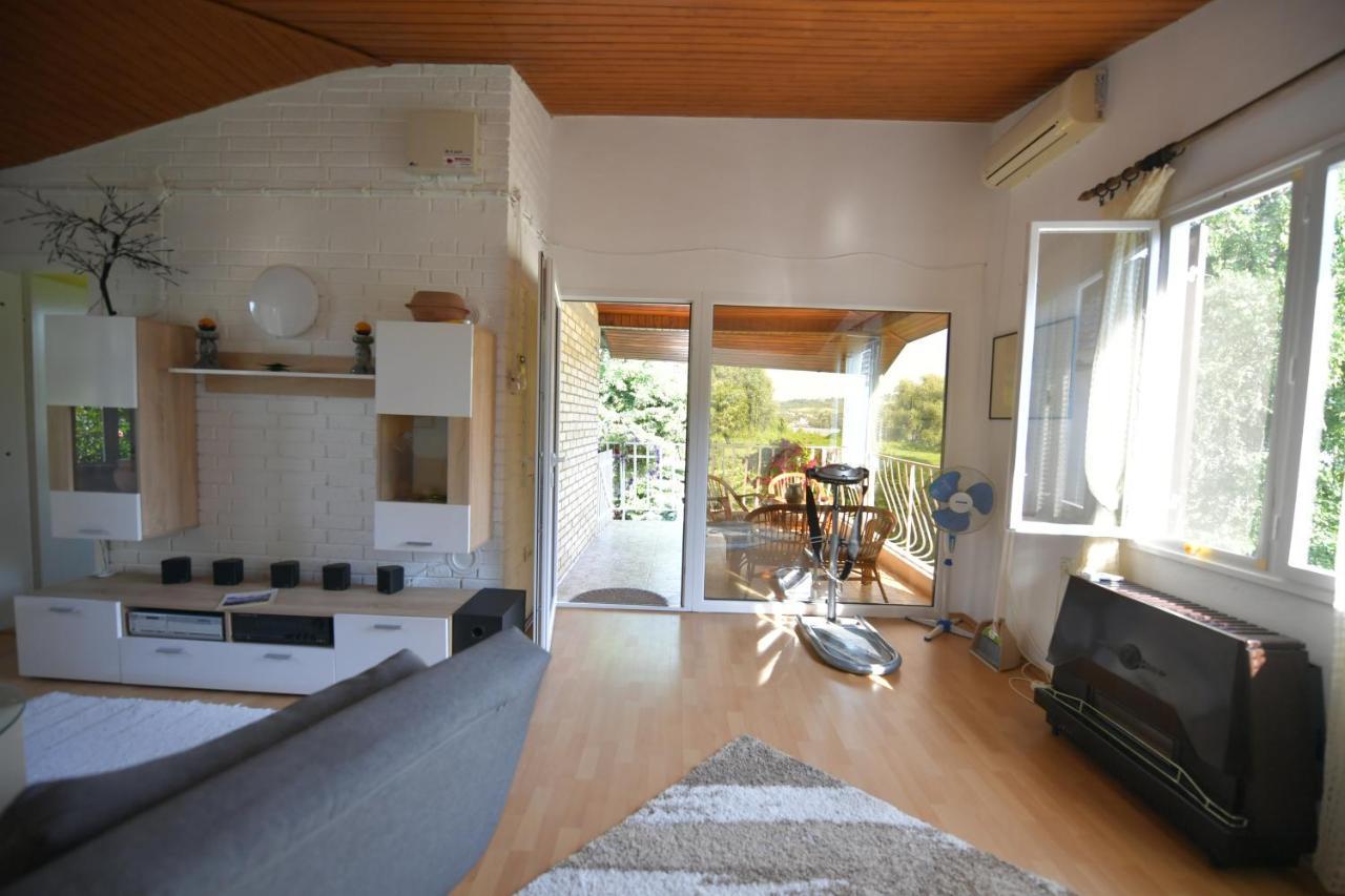 Danube River House Novi Sad
