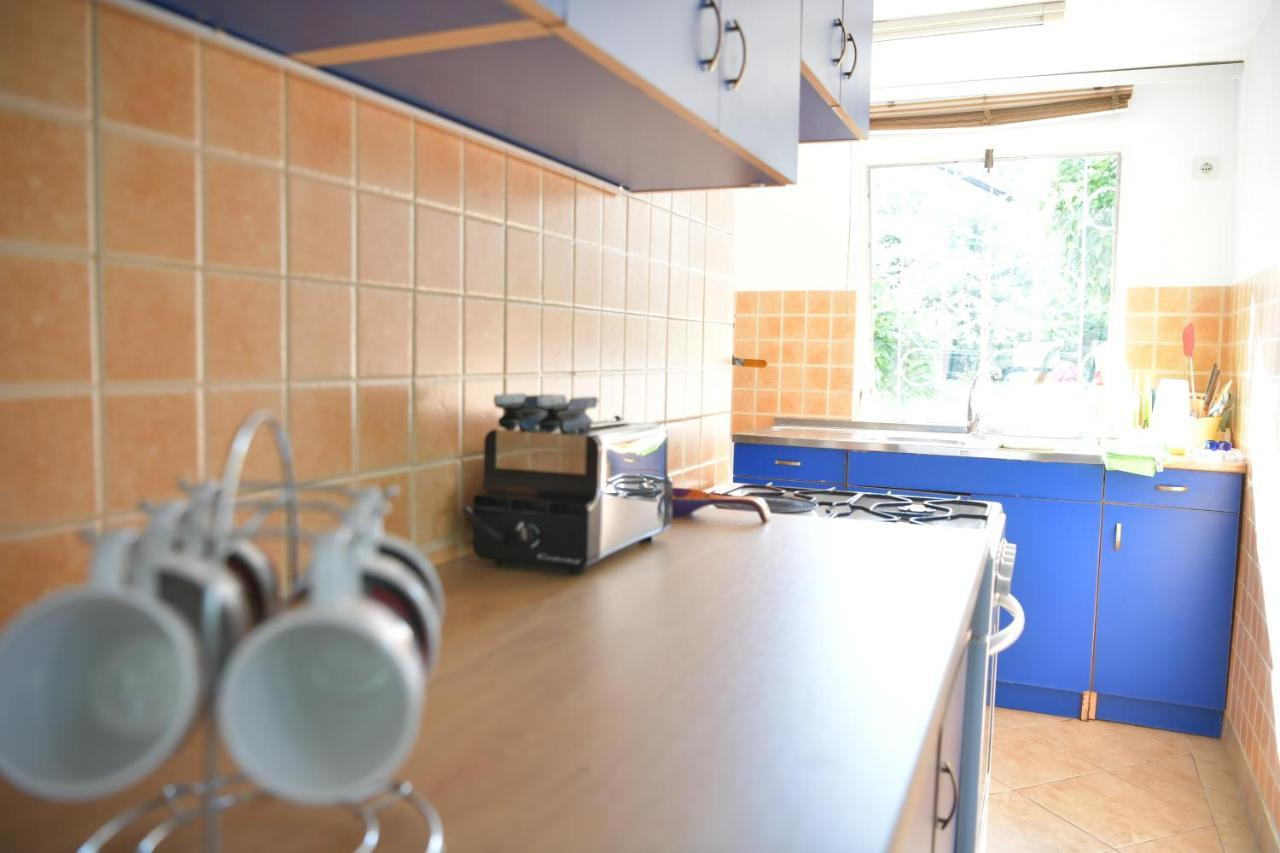 Danube River House Novi Sad